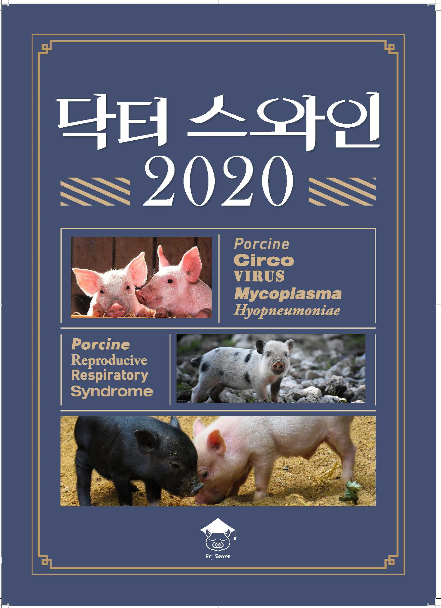 닥터 스와인 2020